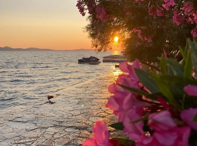 Innova Travelvir Mobhome Eli キャンプ場 スヴェティ・ペタル